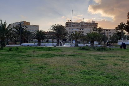 Zonas verdes para disfrutar en familia.