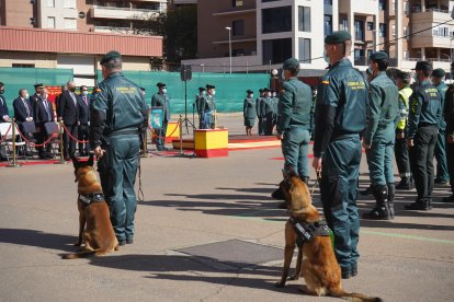 Formación de la Unidad Cinológica