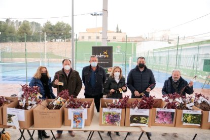 Se ha realizado en la Plaza del Ayuntamiento de Tíjola.
