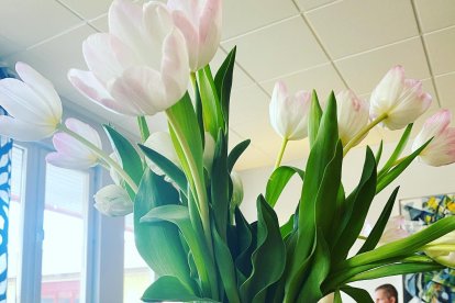 Intercambio educativo entre Vícar, Suecia y Bélgica.