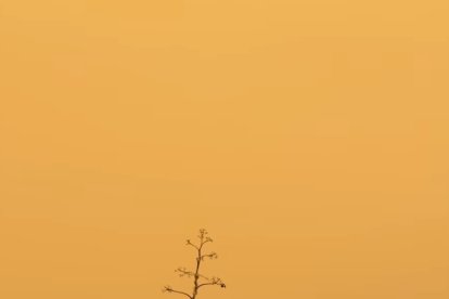 Imagen tomada desde la Isleta del Moro (Antonio Hernández).