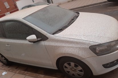 Lavar el coche, asignatura pendiente.