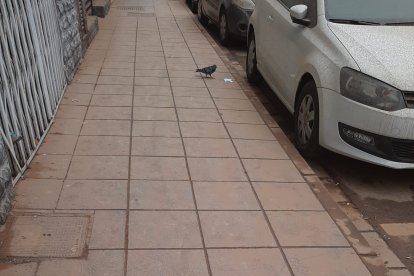 Una calle de la capital.