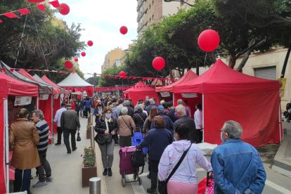 Almería es hoy la capital mundial del tomate.