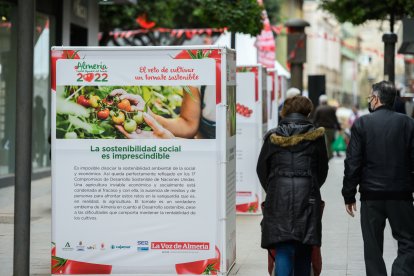 Información y diversión en el Día del Tomate.