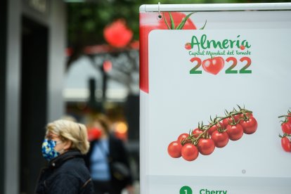 Los tomates, protagonistas.