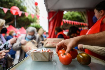 Tomates de la huerta almeriense.
