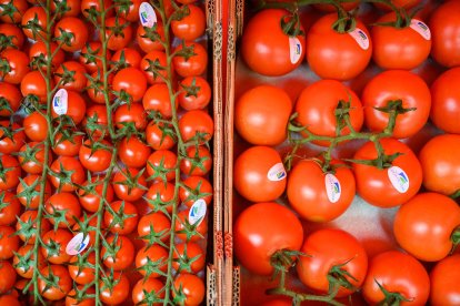 Tomates de la huerta almeriense.