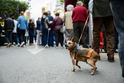 Nadie se ha querido perder este evento.