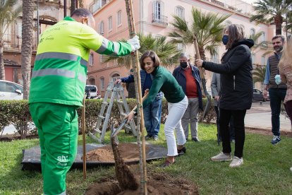Nadie ha querido dejar pasar la oportunidad de sumarse a la plantación de árboles.