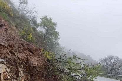 Diputación Provincial de Almería ha tenido que cortar las carreteras AL-6015 entre Chercos y Macael y la AL-7102 también en la Comarca del Almanzora, por varios arrastres y desprendimientos.