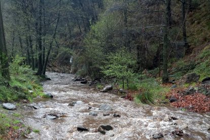 El río Andarax baja con fuerza hacia el Área Recreativa Nacimiento de Laujar de Andarax (FOTO: Mesón Fabriquilla)