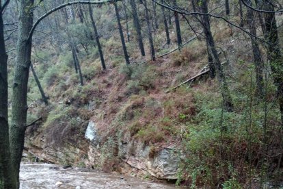 El río Andarax baja con fuerza hacia el Área Recreativa Nacimiento de Laujar de Andarax (FOTO: Mesón Fabriquilla)