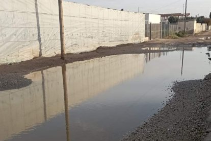 El agua acumulada en las zonas agrícolas de Níjar están dejando grandes charcos.