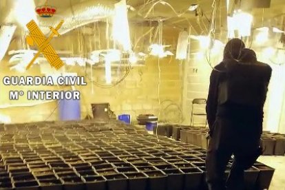 A los detenidos se les acusa de delitos contra la salud pública y defraudación al fluido eléctrico e hídrico.