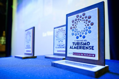 Los galardones entregados en esta edición.