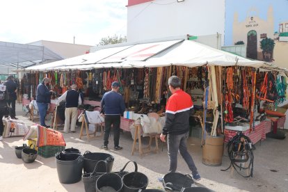 La tradición vuelve a este núcleo ejidense.