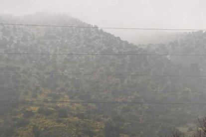 La nieve a primera hora de este lunes desde Laroya, en el Valle del Almanzora (Foto: Ayuntamiento de Laroya).