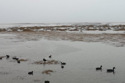 Así se ve la laguna de Vera playa con el temporal