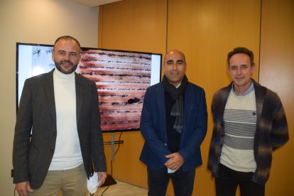 Juan Alberto Castillo y Salvador Parra de la OCA de Albox, con Antonio Mena Rubio, en el centro, de la delegación de Agricultura.