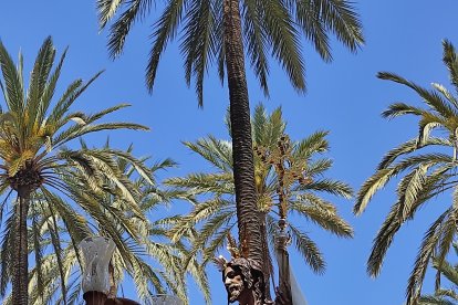 El Señor de la Vida llega a las puertas de la Catedral.