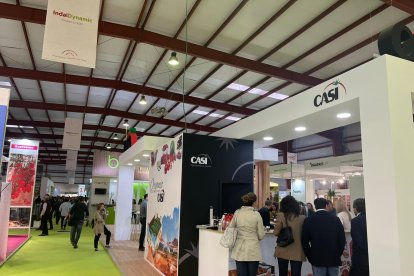 El stand de Casi, en el Centro de Exposiciones y Congresos de Campohermoso.