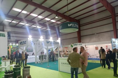 Semilleros y otras empresas de la zona, en ExpoLevante.