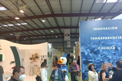 Los distintos stands de ExpoLevante recibieron la visita de cientos de profesionales del campo.