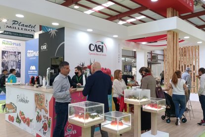 El stand de CASI.