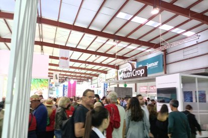 Muchos almerienses han acudido a la cita.