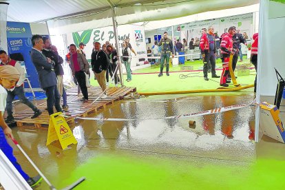 Interior del recinto de Expolevante en Campohermoso. (FOTO: Antonio Fernández).
