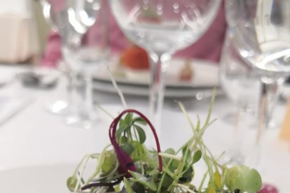 Tomate semiseco de la Escuela Castillo La Yedra de Cazorla.