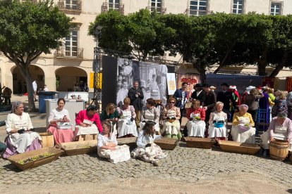 Terque muestra la historia.