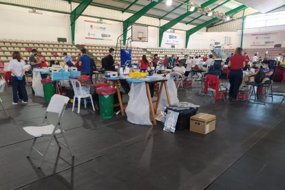 Pabellón Rafael Florido. 