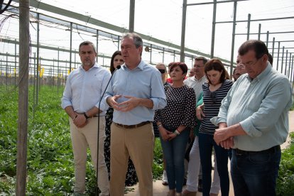 Visita a un invernadero junto al secretario general del PSOE de Almería, Juan Antonio Lorenzo.