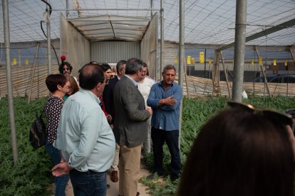 En en interior de un invernadero.