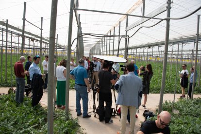 Atendiendo a los medios de comunicación.