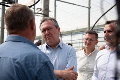 Espadas, en El Ejido.