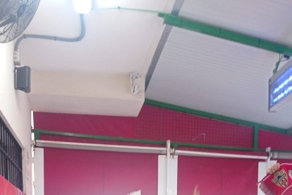 Entre amigos, viendo el partido Valladolid-Ponferradina.