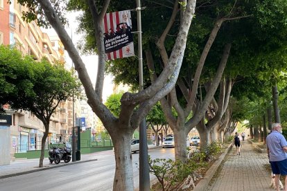 Imagen captada en la Rambla de Almería.