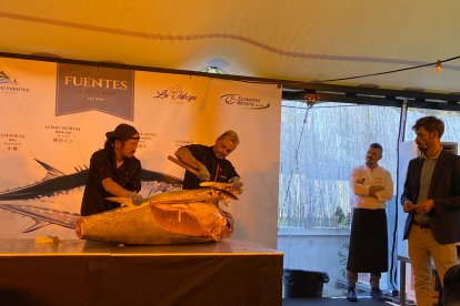 Explicación ronqueo del atún rojo.