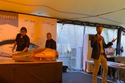 Corte del atún rojo.