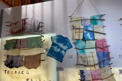 La propuesta se presentó a los escolares en un formato lúdico.