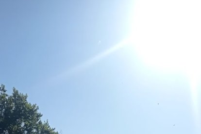 Los fieles acompañaron a La Pequeñica desde Chirivel hasta Vélez-Rubio.