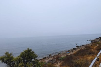 Instantánea tomada en el Paseo Marítimo de la Universidad. 