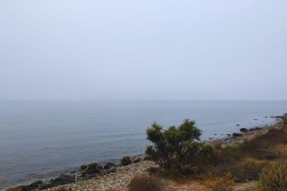 La niebla ha cubierto buena parte de la ciudad. 