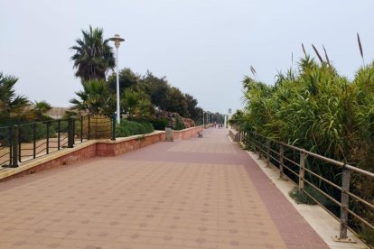 Jornada de niebla en Almería. 