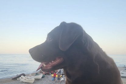 Isabel en compañía de su perro