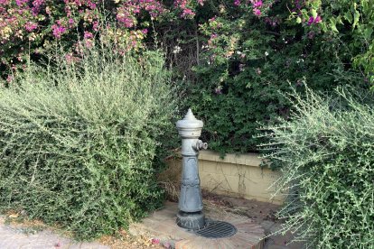 Fuentes de agua potable fuera de servicio.