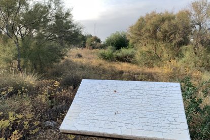 Cartelería ilegible por el paso del tiempo.